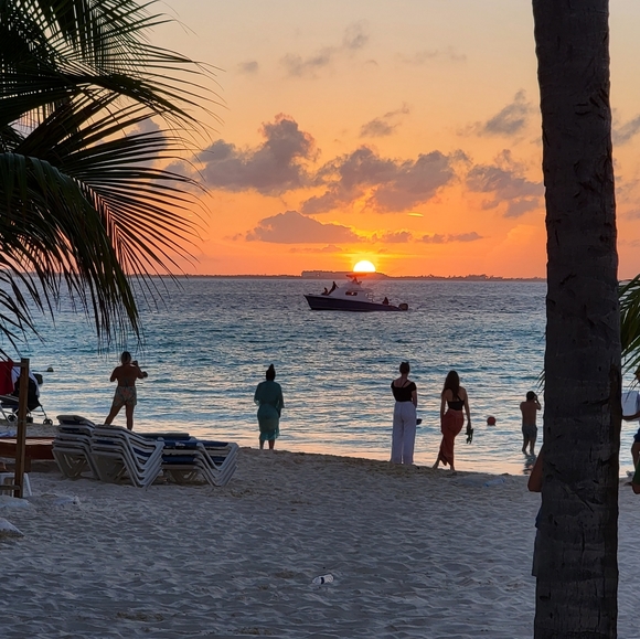 Meet your Posher, Joseph - Picture 4 of 7